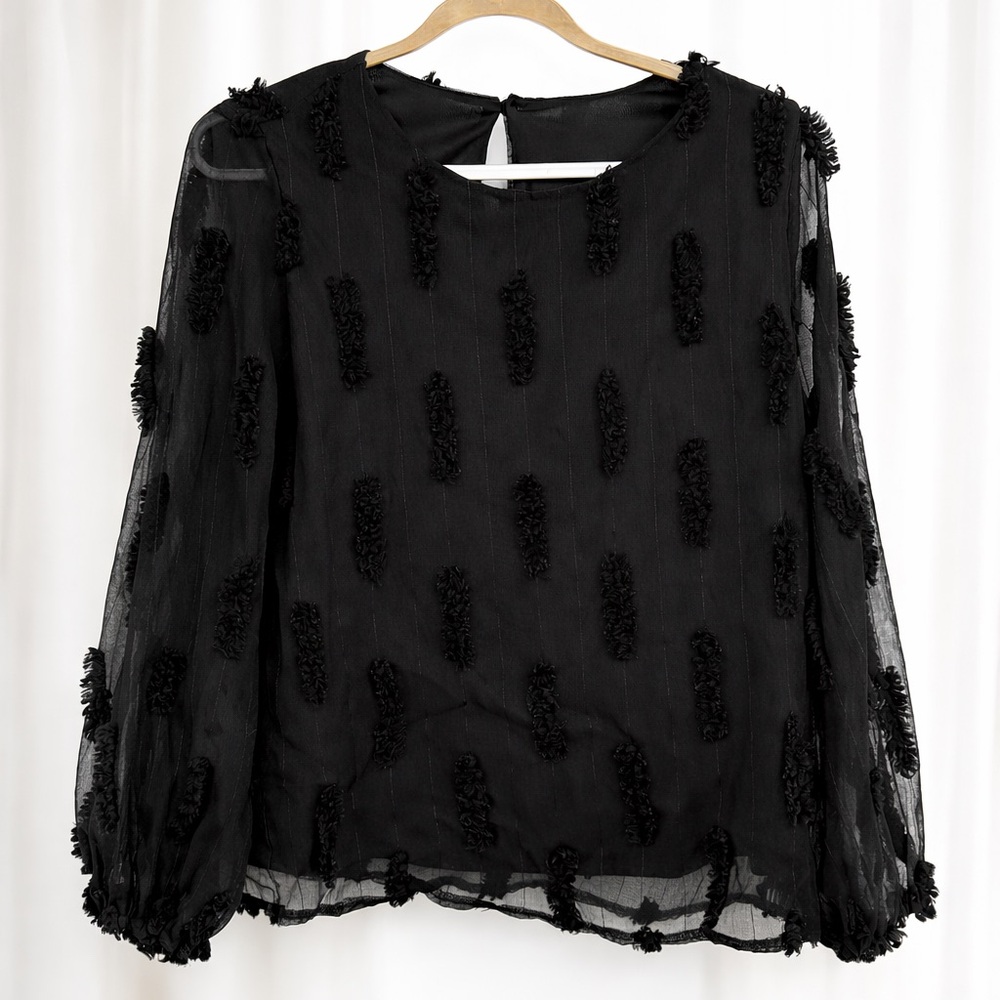 Elegant Black Sheer Women's Top
